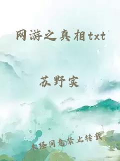 网游之真相txt