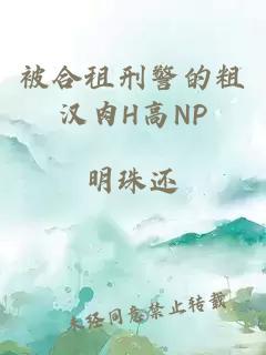 被合租刑警的粗汉肉H高NP