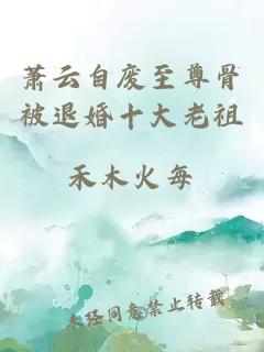 萧云自废至尊骨被退婚十大老祖