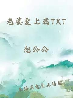 老婆爱上我TXT