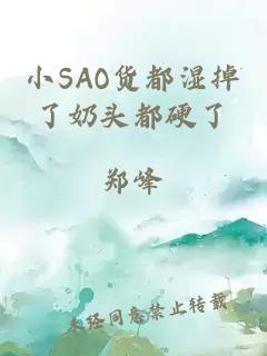 小SAO货都湿掉了奶头都硬了