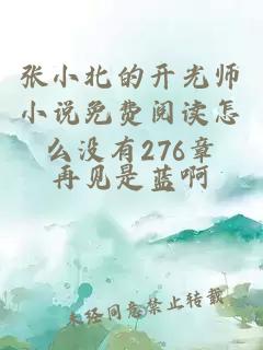 张小北的开光师小说免费阅读怎么没有276章