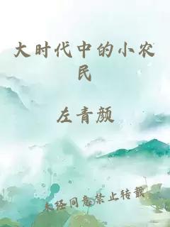 大时代中的小农民