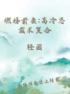 燃婚前妻:高冷总裁求复合