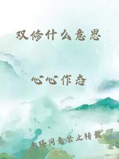 双修什么意思