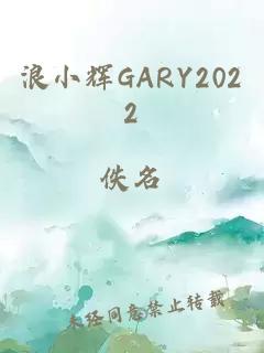 浪小辉GARY2022