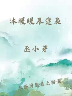 沐暖暖慕霆枭