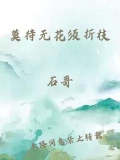 莫待无花须折枝