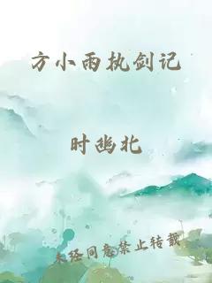 方小雨执剑记