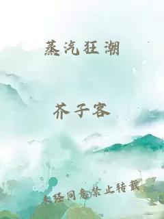 蒸汽狂潮