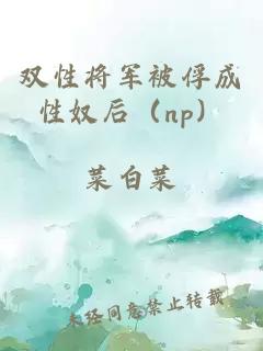 双性将军被俘成性奴后（np）