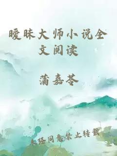 暧昧大师小说全文阅读