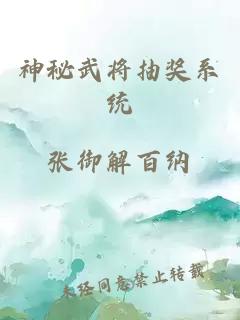 神秘武将抽奖系统