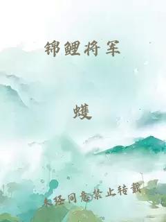 锦鲤将军