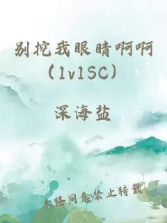 别挖我眼睛啊啊（1v1SC）