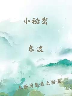 小秘密