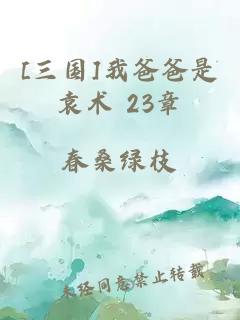 [三国]我爸爸是袁术 23章