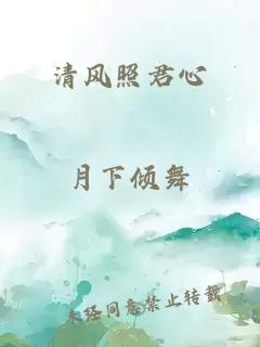 清风照君心